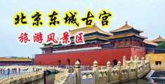 日本操肥逼中国北京-东城古宫旅游风景区